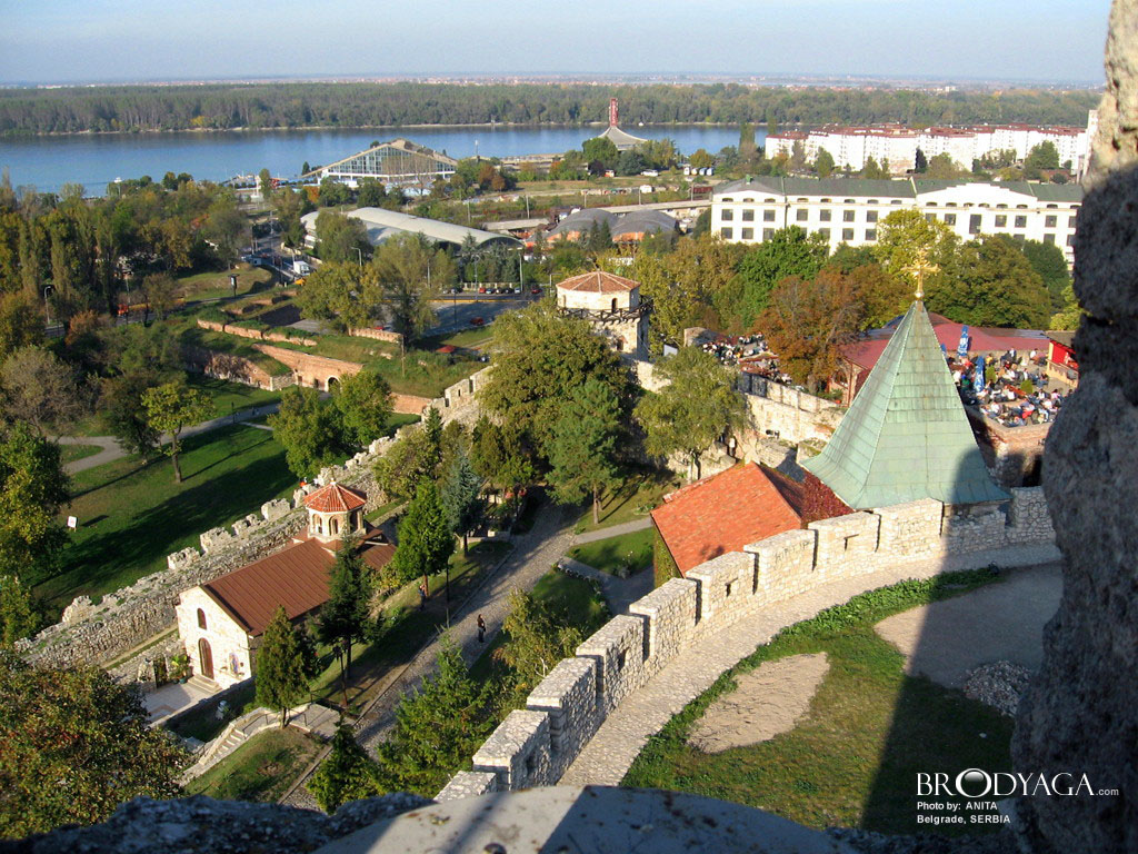 View from the tower
